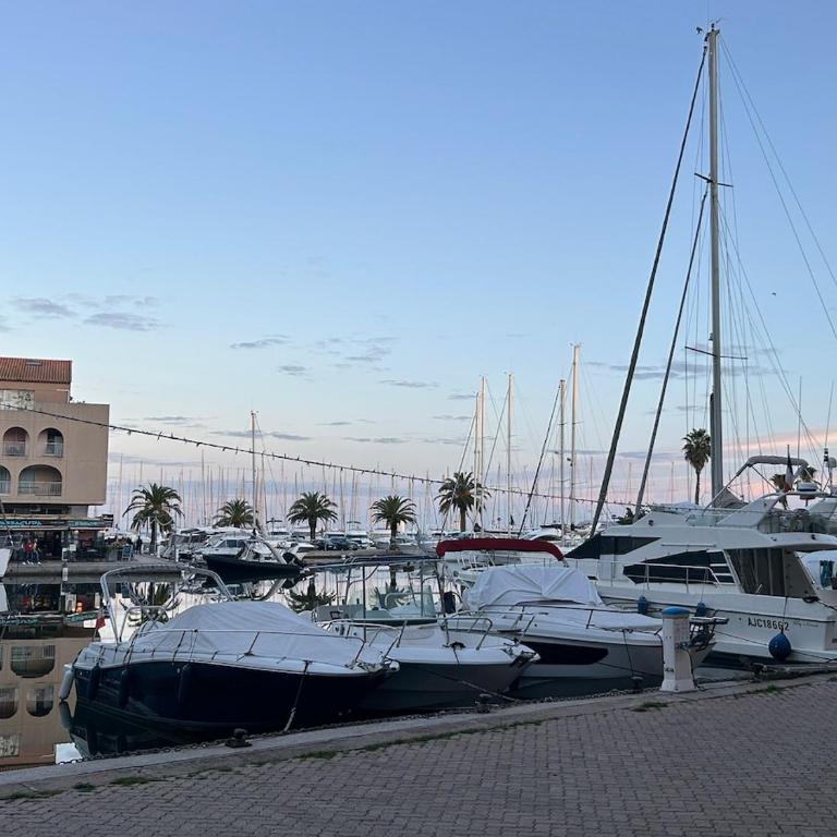 Cocon lumineux à 2 min du port et des restaurants - Apartment mit 1 Schlafzimmer - 3