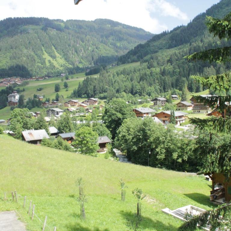 VOINETTES VNB7 TELECABINE & MOUNTAIN 5 Pers - Apartment - 18