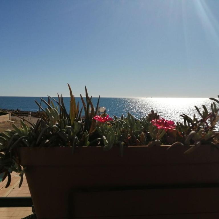 Terramer – Séjour face à la mer, Wifi, plage, piscine et commerces à pied - Corniche - Appartement - Vue sur Mer - 23