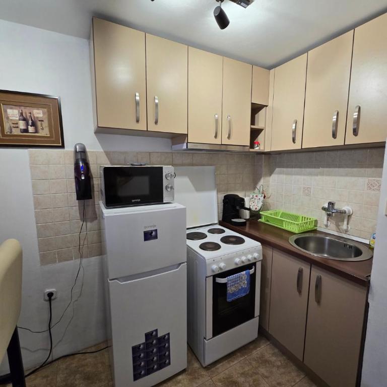 Apartman Leda - Apartman sa 2 Spavaće Sobe - 9