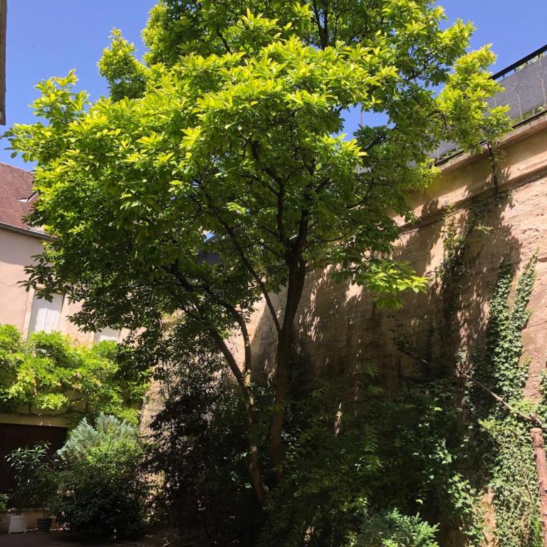 L'atypique - Apartment mit 3 Schlafzimmern - 14