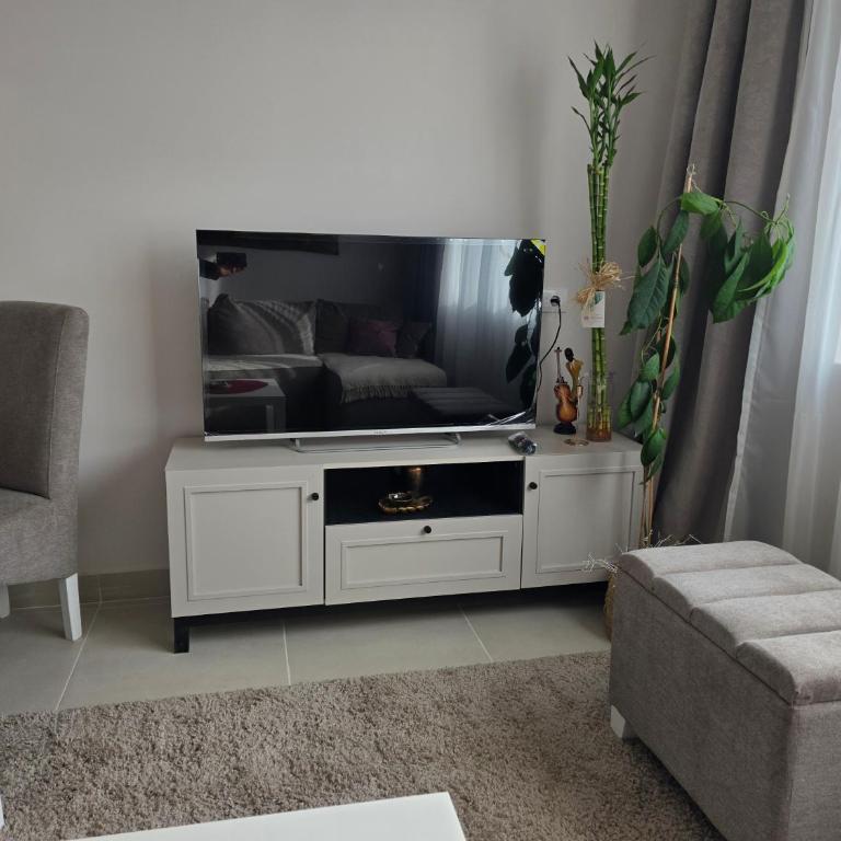 Apartman Bibi centar - One-Bedroom Apartment - 3