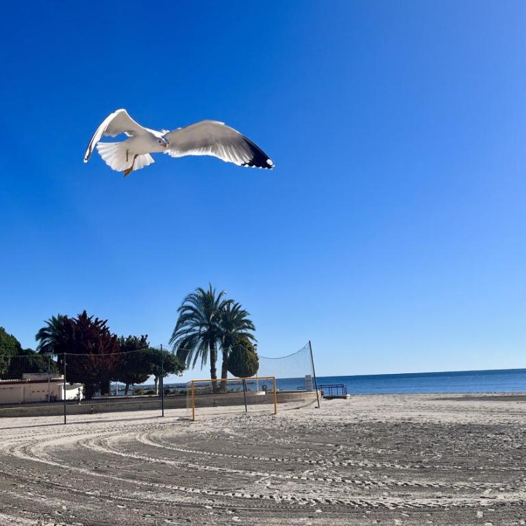 APARTAMENTO SOL Y PLAYA - Casa de 3 dormitorios - 39