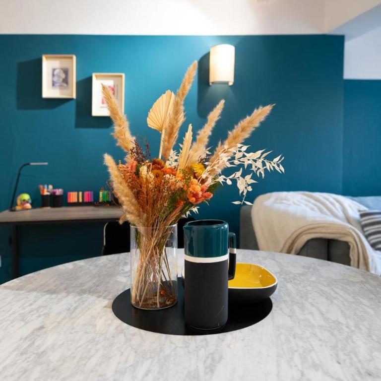 2 rooms apartment in the city center - Appartement 1 Chambre - 8