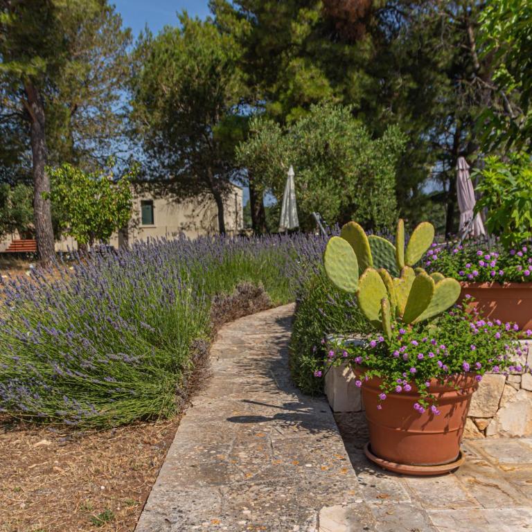 Trullo Edvige by In Puglia service - Appartamento con 3 Camere da Letto - 38