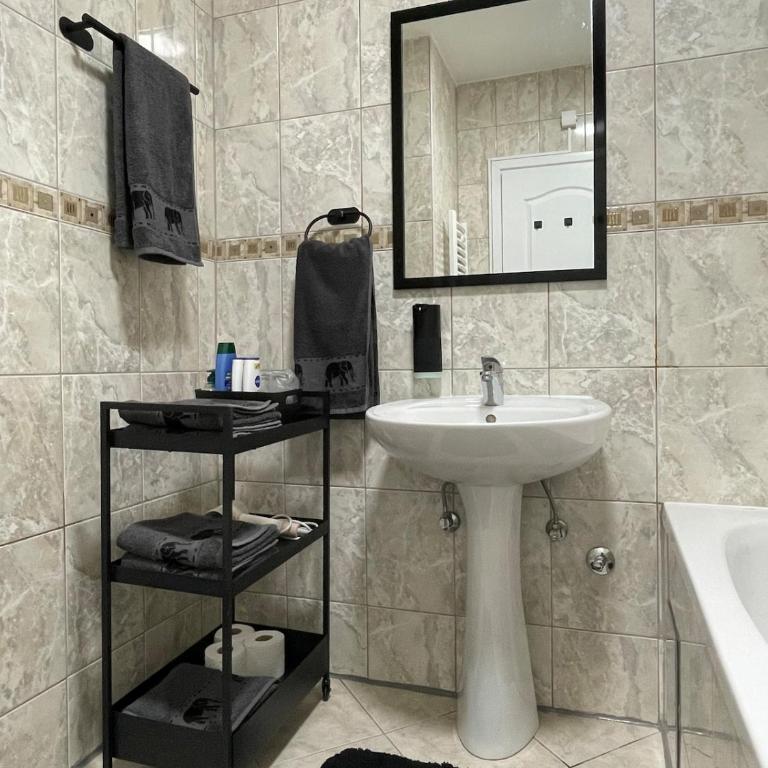 Apartment in the center with free parking - Apartman sa 2 Spavaće Sobe - 13