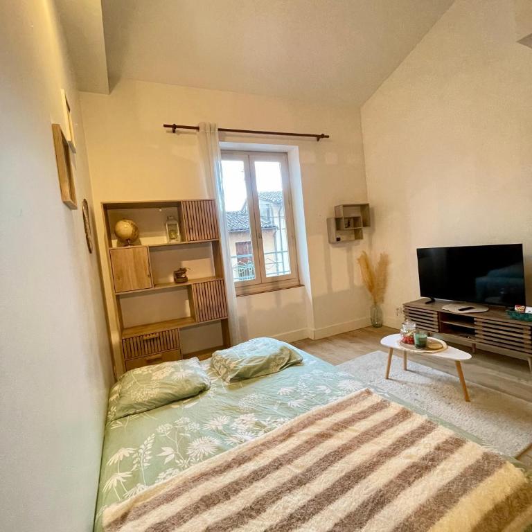 Le Cocon - Hôpital - Netflix - Climatisation - Appartement 1 Chambre - 6