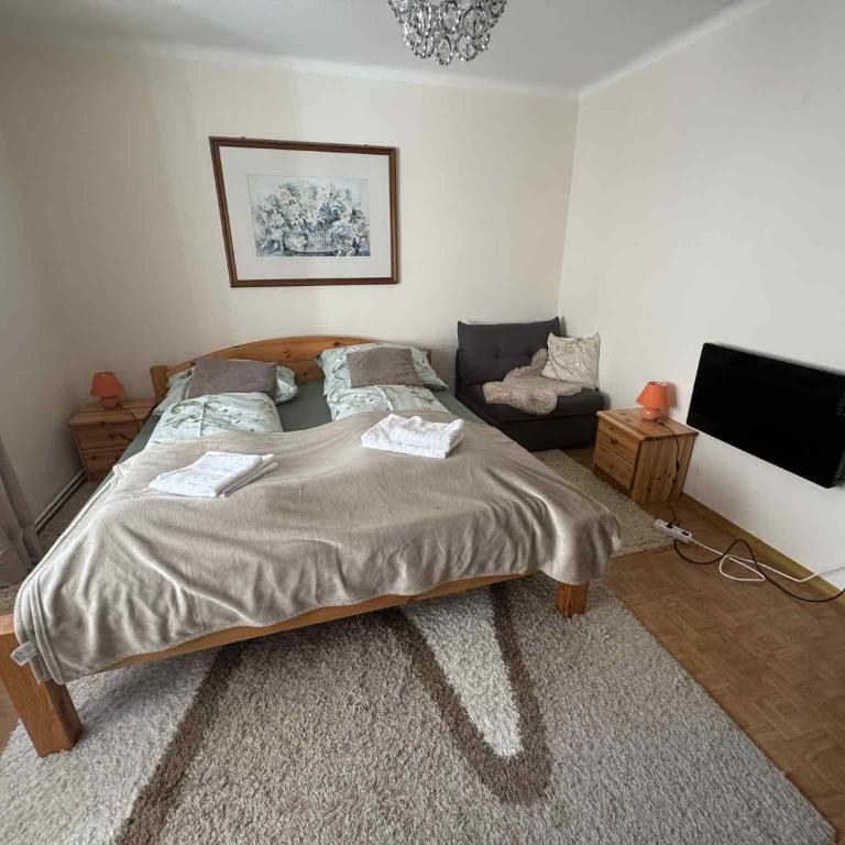 Steinadler Apartments Quiet Location Garden, Private Parking Pet Friendly - Appartement - Vue sur Jardin - 3