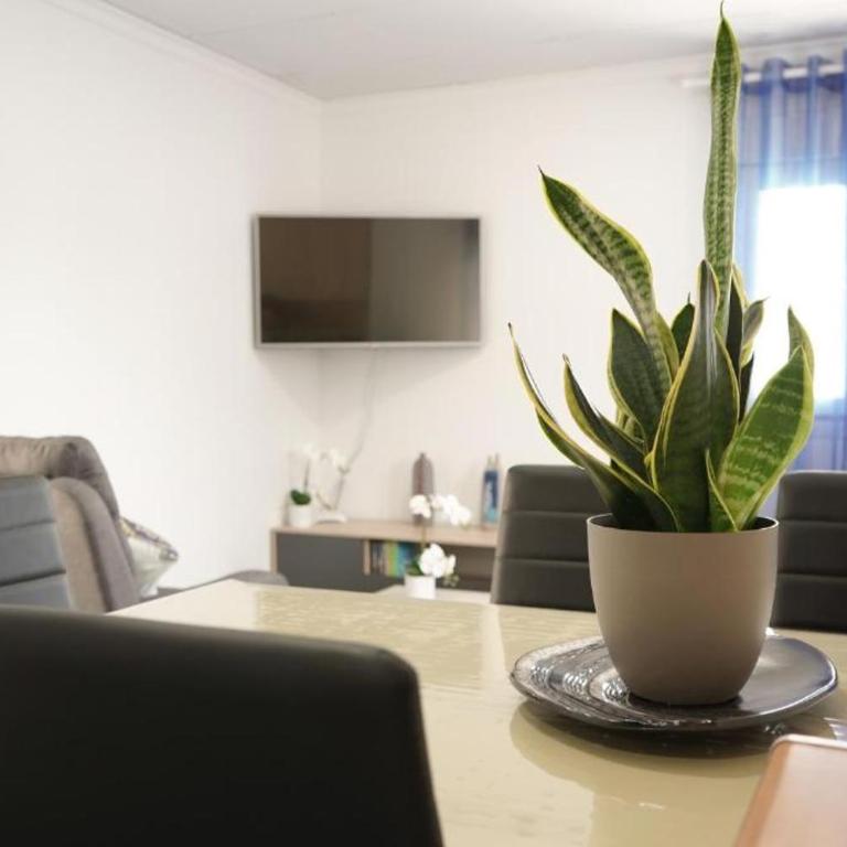 Casa Roseta - Two-Bedroom House - 4