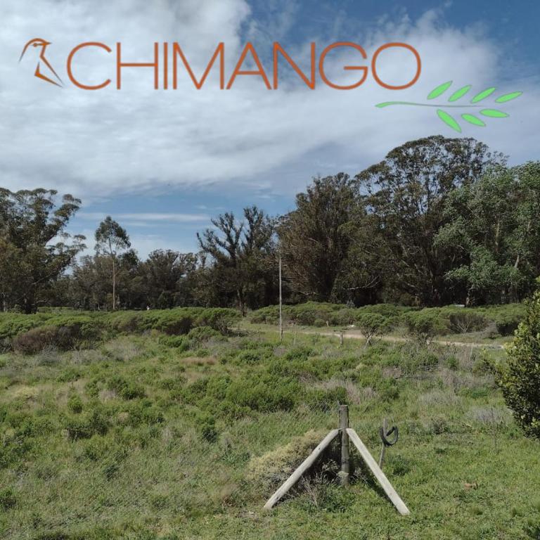 Chimango - Casa con 1 dormitorio - 5