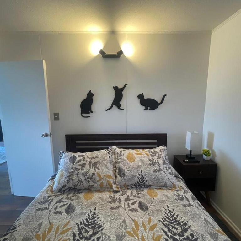 Departamento con Vista al Lago Villarrica - Apartamento de 2 dormitorios con vistas al lago - 13