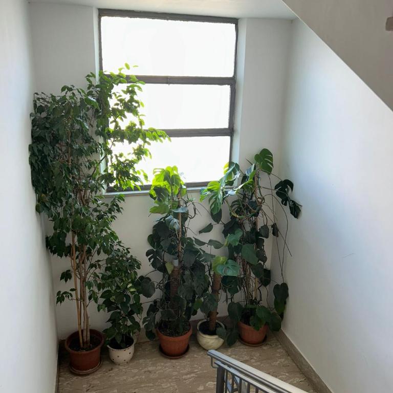 Appartement moderne et lumineux à Rome Italie - Appartement 1 Chambre - 15