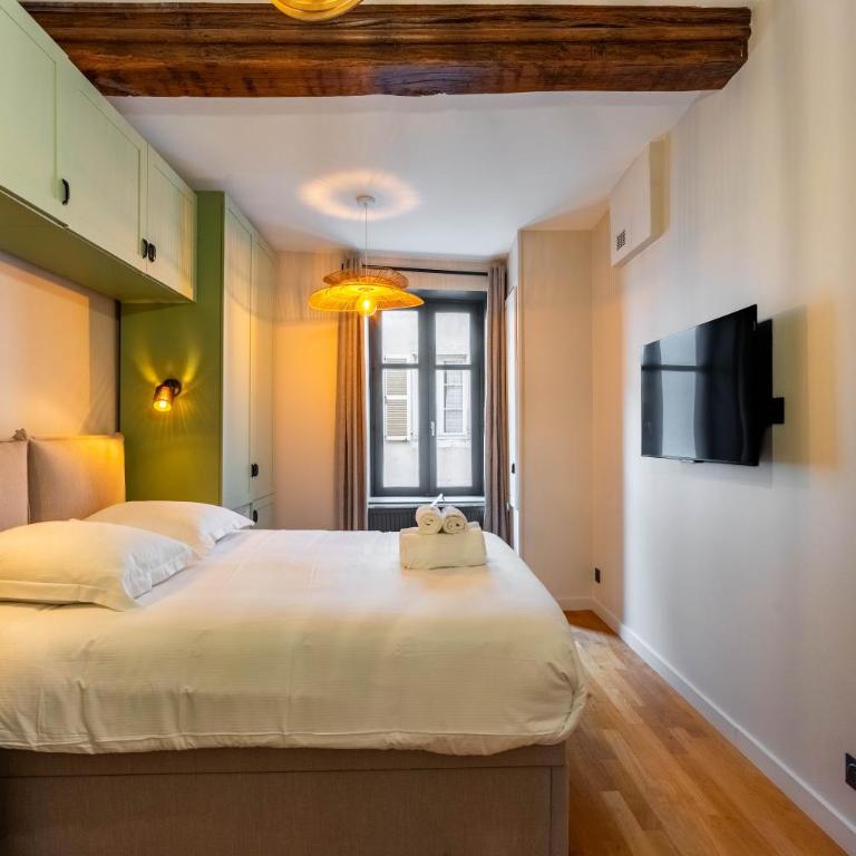 Le Carrousel de Leopold - Proche Place Carnot - Appartement 2 Chambres - 13