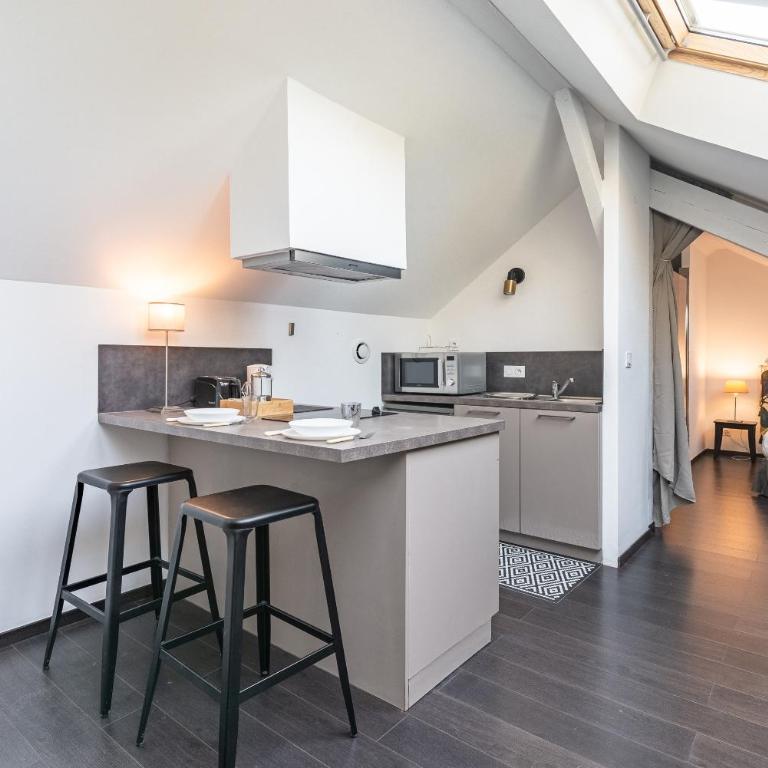 Petit Loft proche Place Darcy - Appartement 1 Chambre - 3