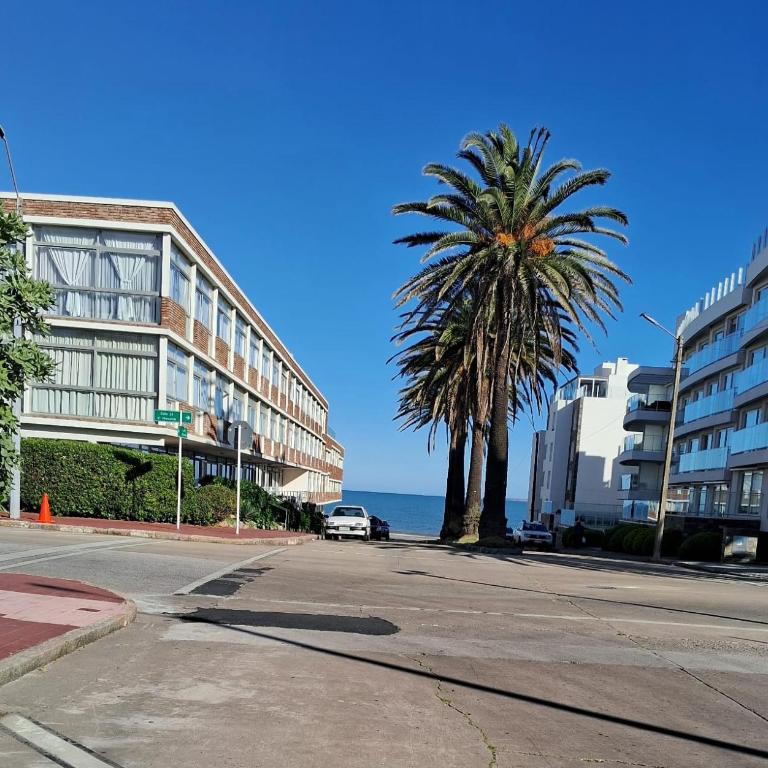 Monohambiente - Apartamento de 1 dormitorio - 1