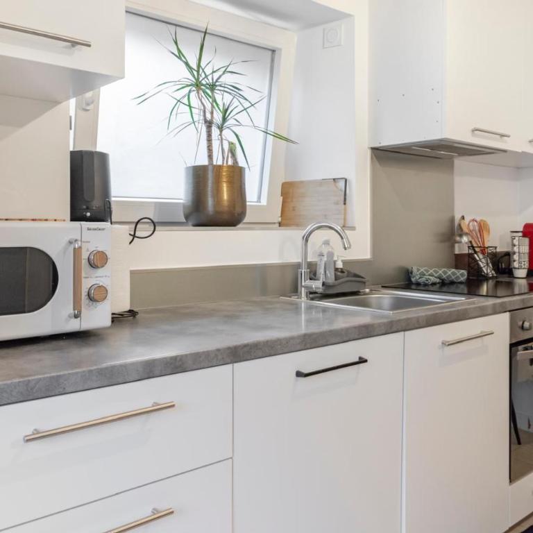 Superbe appartement proche de stations de ski - Appartamento con 1 Camera da Letto - 5