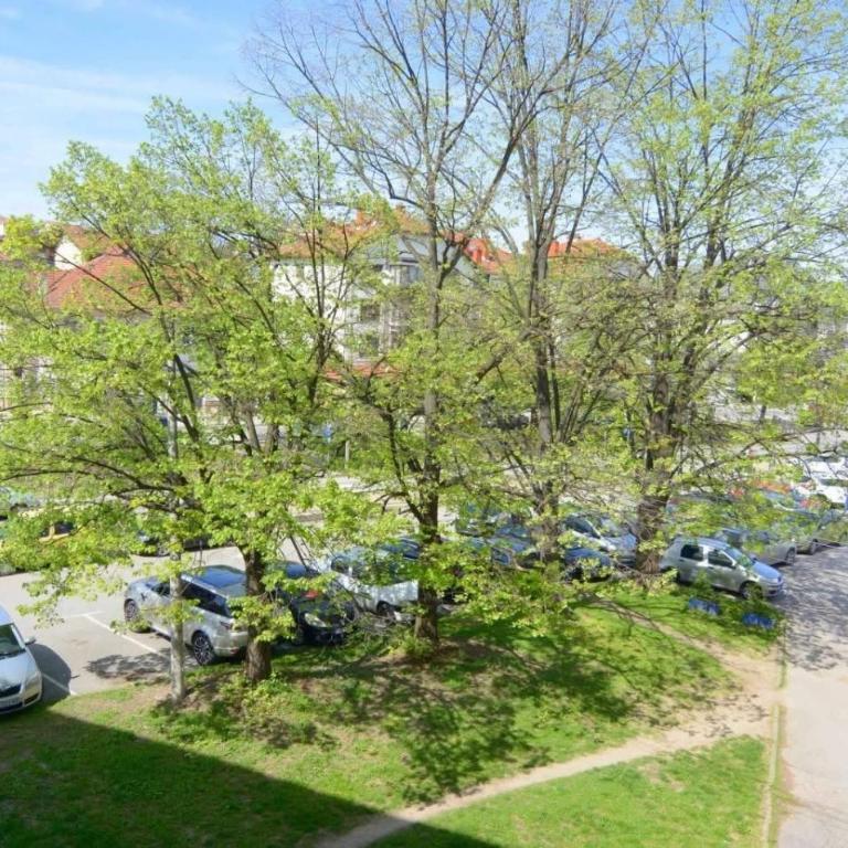 Apartman Mandić - Apartman sa 1 Spavaćom Sobom - 11
