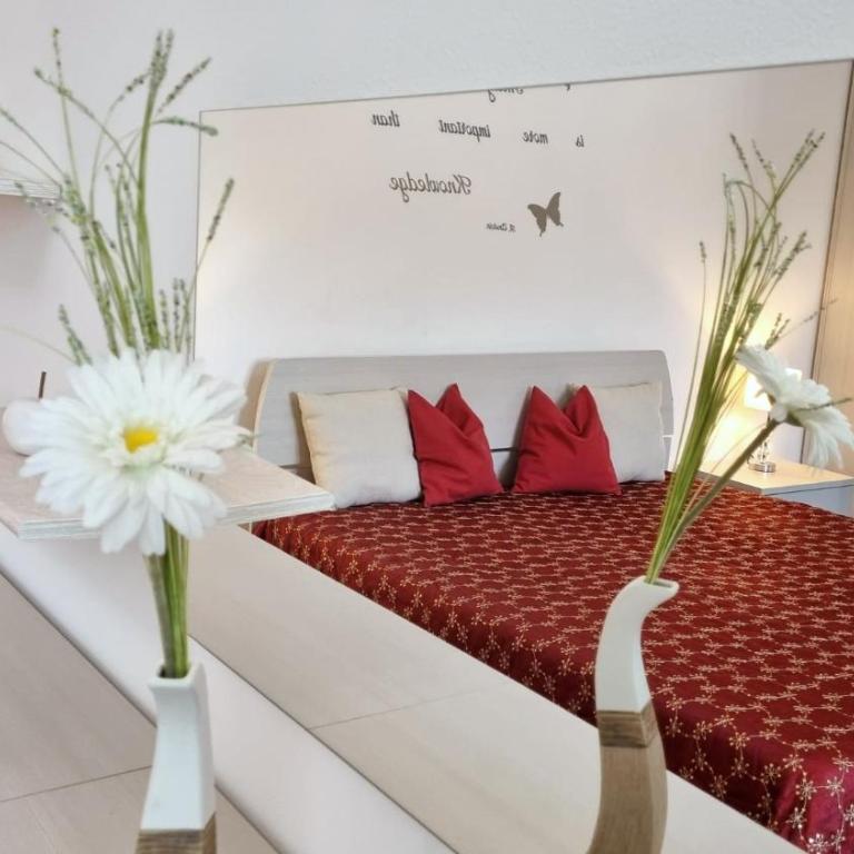 Fontana Comfort Apartment - Appartamento - Piano Terra - 28