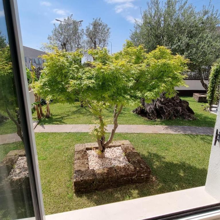 Fontana Comfort Apartment - Appartamento - Piano Terra - 5