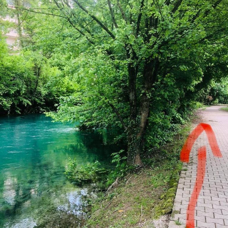 Cozy Studio 10 min walk Centre and Train Station! - Appartement 1 Chambre - 19