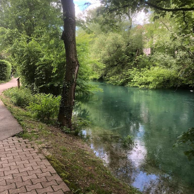 Cozy Studio 10 min walk Centre and Train Station! - Appartement 1 Chambre - 20