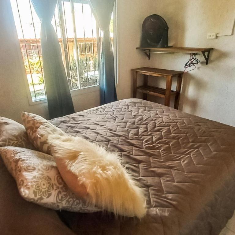 PUEBLO MIO - One-Bedroom Apartment - 10