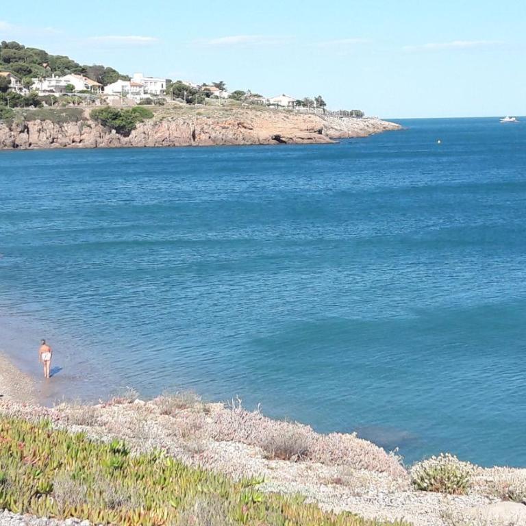 Chez Juju - petit cocon face à la mer avec parking - Apartment mit Meerblick - 21