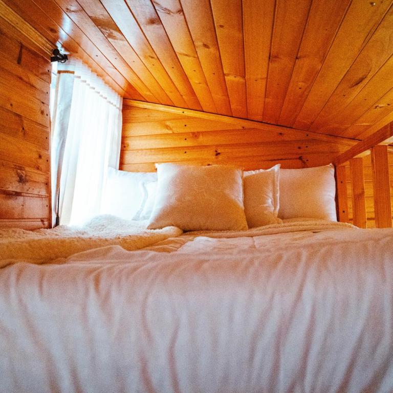 El Rincón de Gabo - Bungalow Familiar - 36