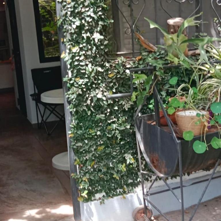 Lo de Sara. Casa pequeña al pie del cerro - Two-Bedroom Apartment - 28