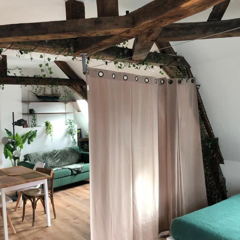 Le Godefroy de Bouillon - Appartement - Vue sur Ville - 3