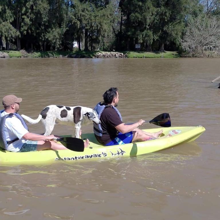 Momentos del Espera - Villa Deluxe - 23