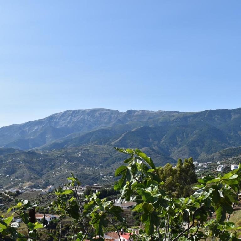 Finca La Jara with private Pool - Chalet de 1 dormitorio - 33
