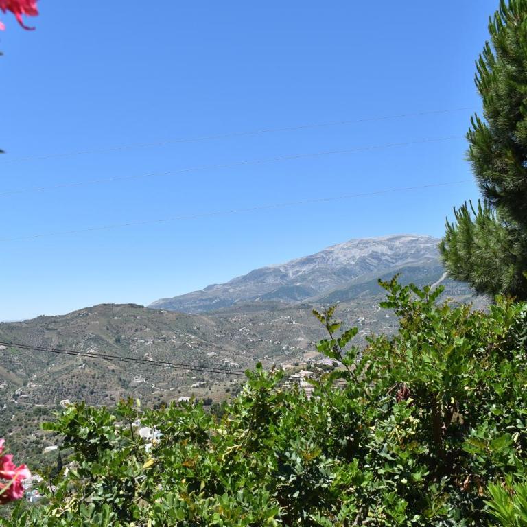 Finca La Jara with private Pool - Chalet de 1 dormitorio - 4