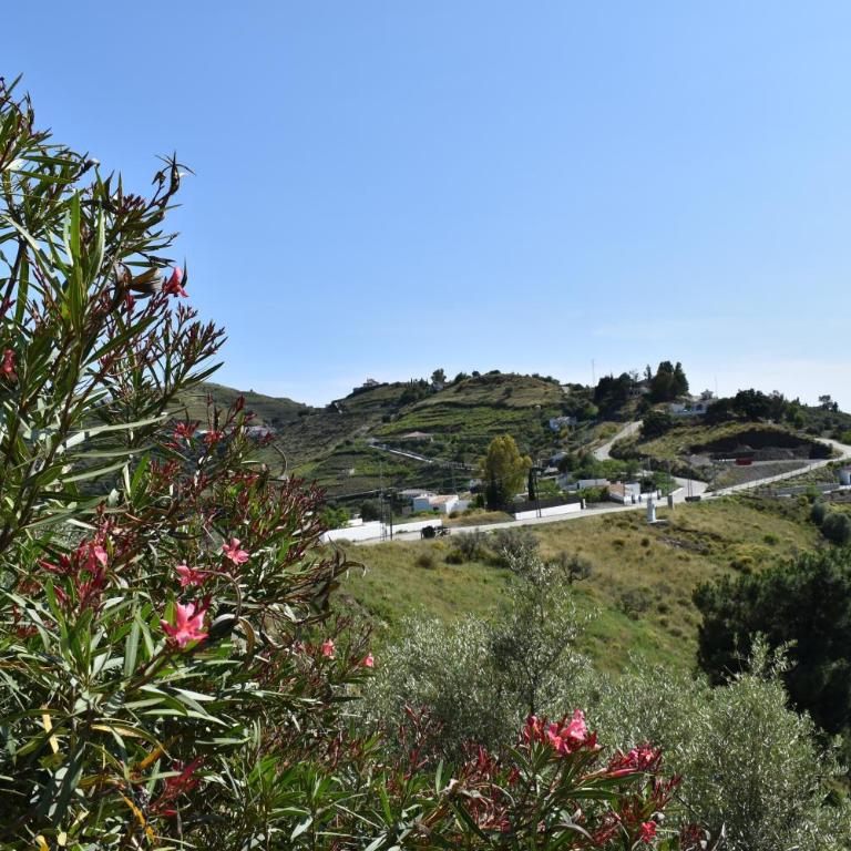 Finca La Jara with private Pool - Chalet de 1 dormitorio - 27