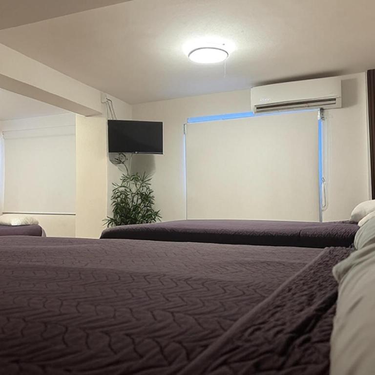 Hotel Miramar - La Paz - Habitación Triple - 3