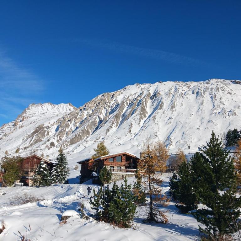 MyHome - Génépis 33 - 4 pax skis aux pieds - Val Claret - Appartamento con 1 Camera da Letto, Balcone e Vista Montagna - 16