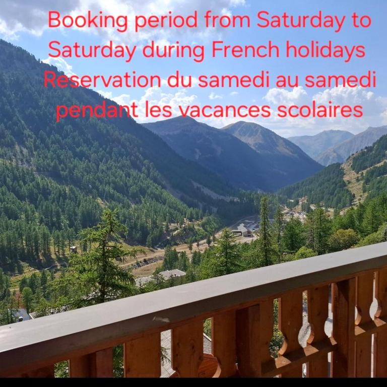 Très bel appartement dans le centre d'Isola 2000 avec balcon exposé sud ouest - Apartment mit 1 Schlafzimmer - 4