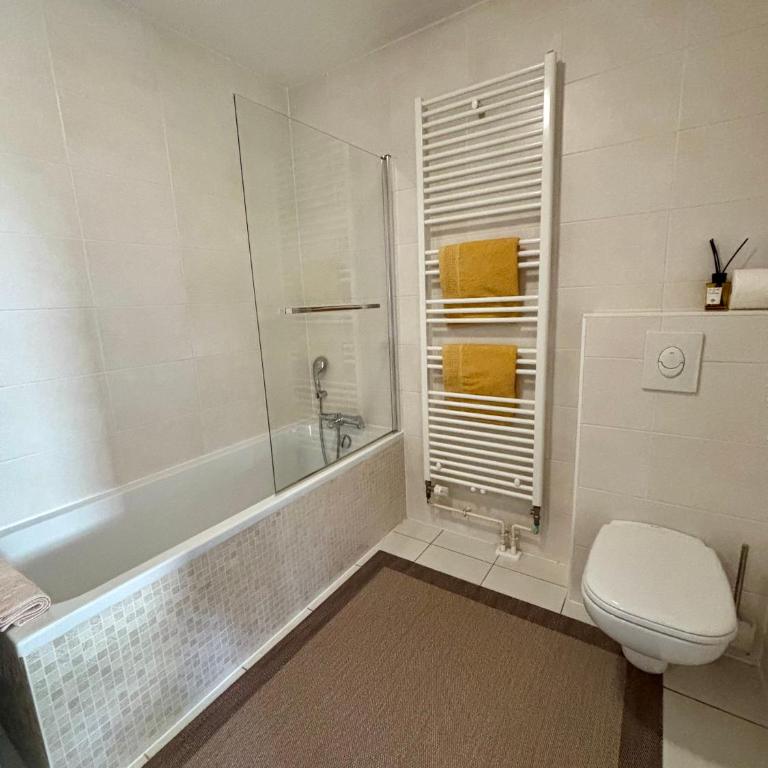 Robertsau, jardin en ville - One-Bedroom Apartment - 5
