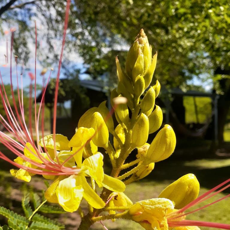 Las Martinetas - Casa con 1 dormitorio - 41