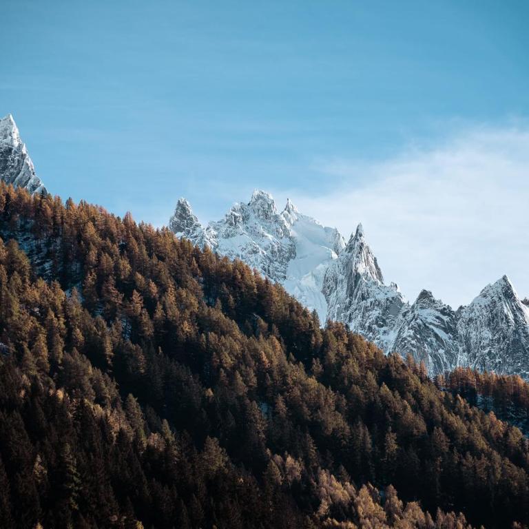 Chalet Mont Plaisir - Au pied des Drus - Chalet - 22