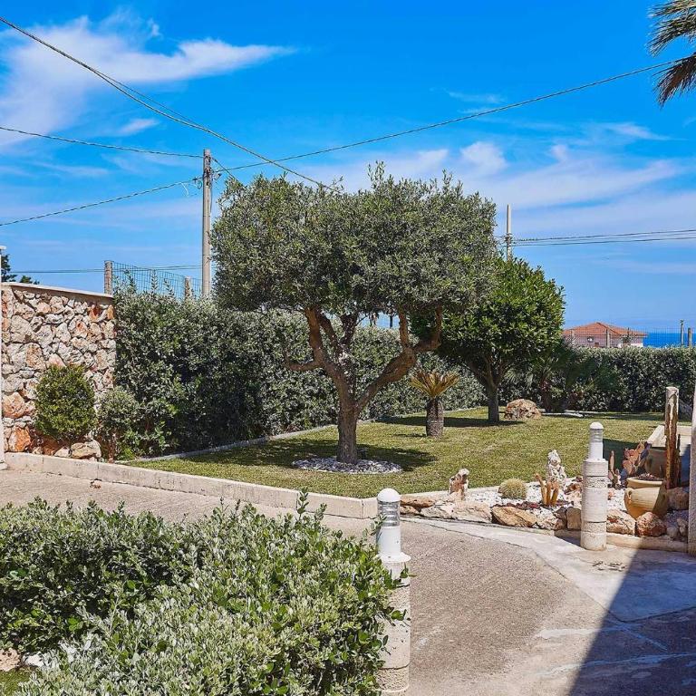 Villa Ciuridda - Villa 3 Chambres - 43
