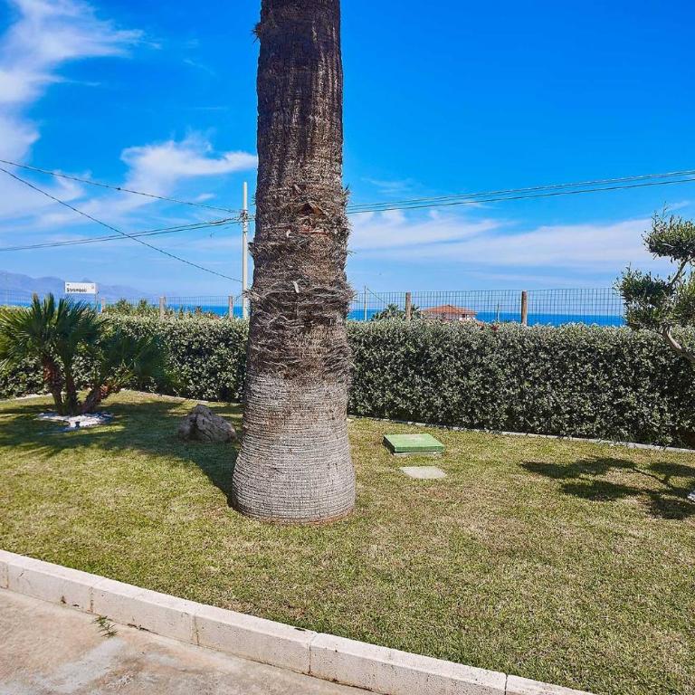 Villa Ciuridda - Villa 3 Chambres - 45