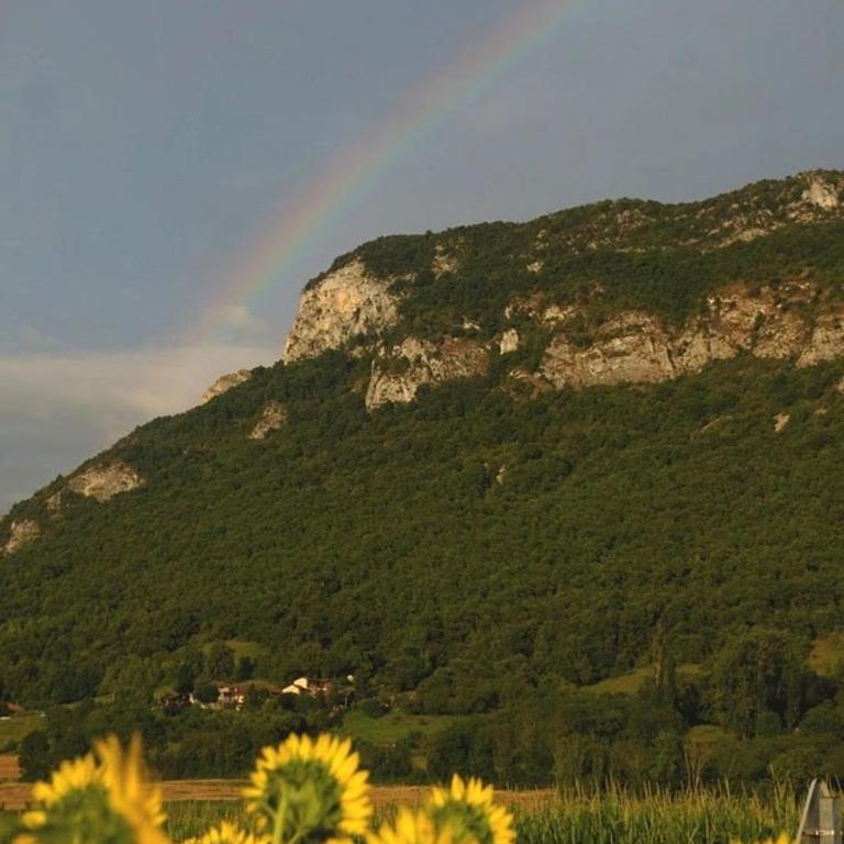 Les deux sources - Chambre Double Deluxe - 23