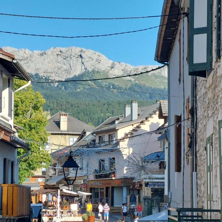 Bel appartement au centre de Villard-de-Lans avec Wifi - FR-1-515-195 - Apartment - 12