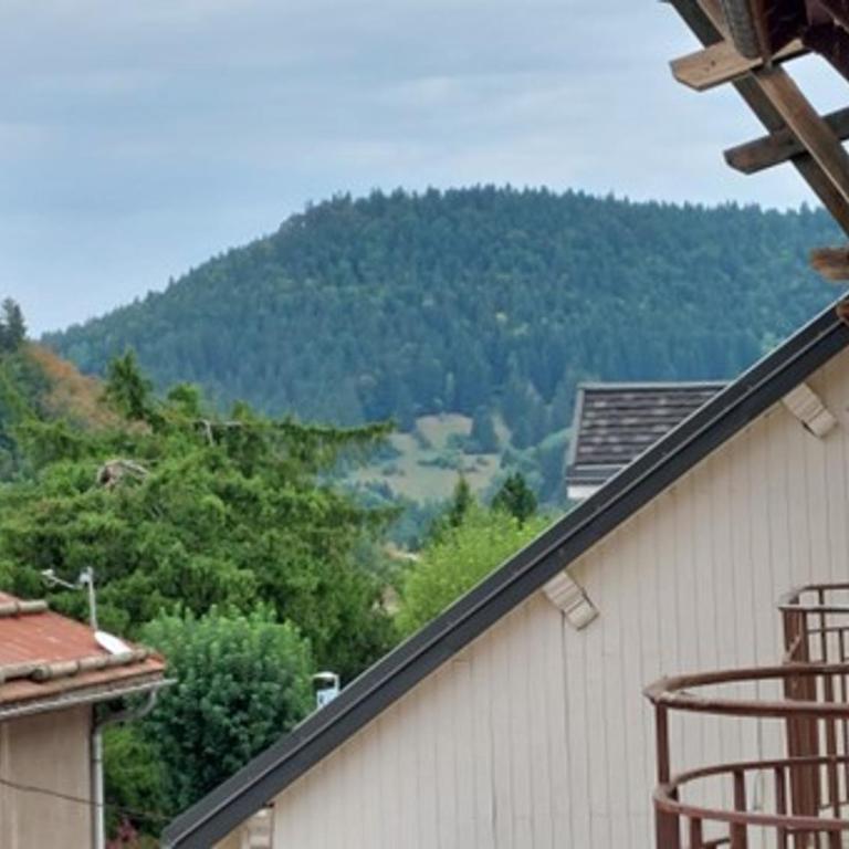 Bel appartement au centre de Villard-de-Lans avec Wifi - FR-1-515-195 - Apartment - 13