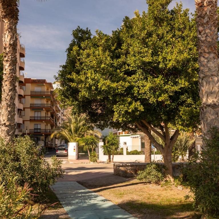 Comeback Háblame del Mar - Apartamento de 3 dormitorios - 8