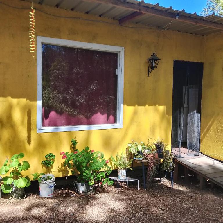 Sol naciente - One-Bedroom Apartment - 1