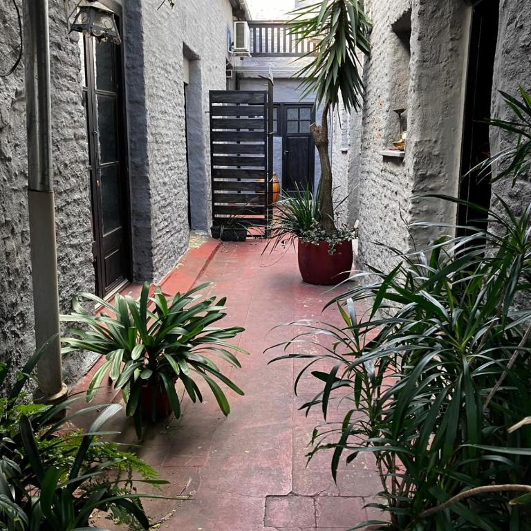 Apartmento en Barrio Sur Montevideo CAMBA - Apartamento de 1 dormitorio - 8