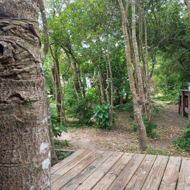 Morocha - One-Bedroom House - 3