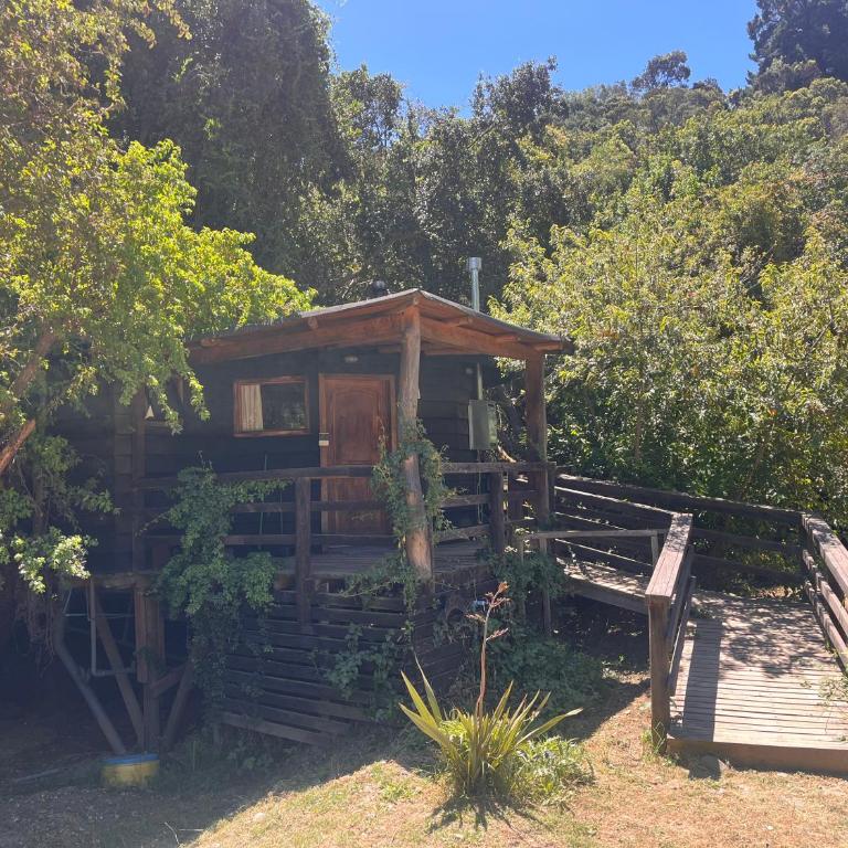 Reserva los Bollenes - Estudio con terraza - 12